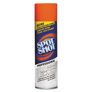 ESWDF009934 - Spot Shot Professional Instant Carpet Stain Remover, 18oz Spray Can, 12-carton