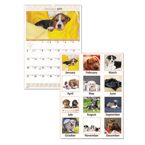 ESAAGDMW16728 - PUPPIES MONTHLY WALL CALENDAR, 15 1-2 X 22 3-4, 2019