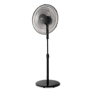 ESALEFANP16B - 16" 3-Speed Oscillating Pedestal Stand Fan, Metal, Plastic, Black