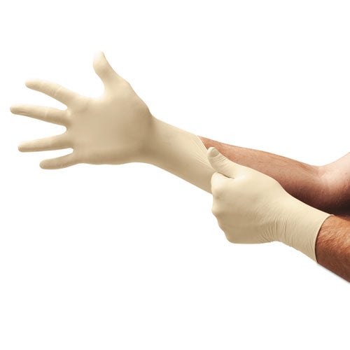ESANS69318S - Xt Premium Latex Disposable Gloves, Powder-Free, Small, 100-box