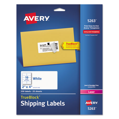 ESAVE5263 - Shipping Labels With Trueblock Technology, Laser, 2 X 4, White, 250-pack