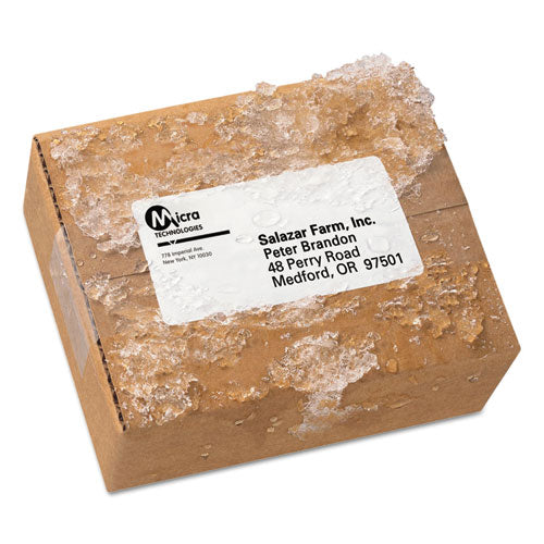 ESAVE95523 - Weatherproof Durable Mailing Labels With Trueblock Technology, 2x4, White, 5000