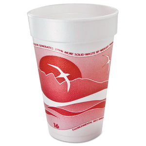 ESDCC16J16H - Horizon Foam Cup, Hot-cold, 16oz., Printed, Cranberry-white, 25-bag, 40-ct