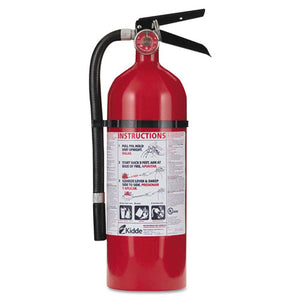 ESKID21005779 - Pro 210 Fire Extinguisher, 4lb, 2-A, 10-B:c