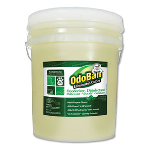 ESODO9110625G - Concentrated Odor Eliminator, Eucalyptus, 5 Gal Pail