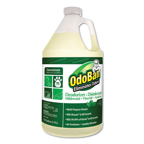 ESODO911062G4EA - Concentrated Odor Eliminator, Eucalyptus, 1 Gal Bottle