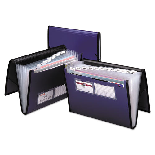 ESPFX52670 - Professional Expanding Document Organizer, Letter, 7 Pockets, Blue