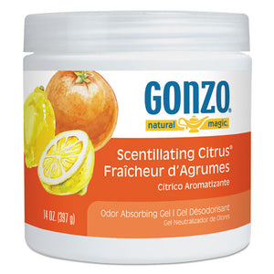 ESWMN4119DEA - Odor Absorbing Gel, Scentillating Citrus, 14 Oz Jar